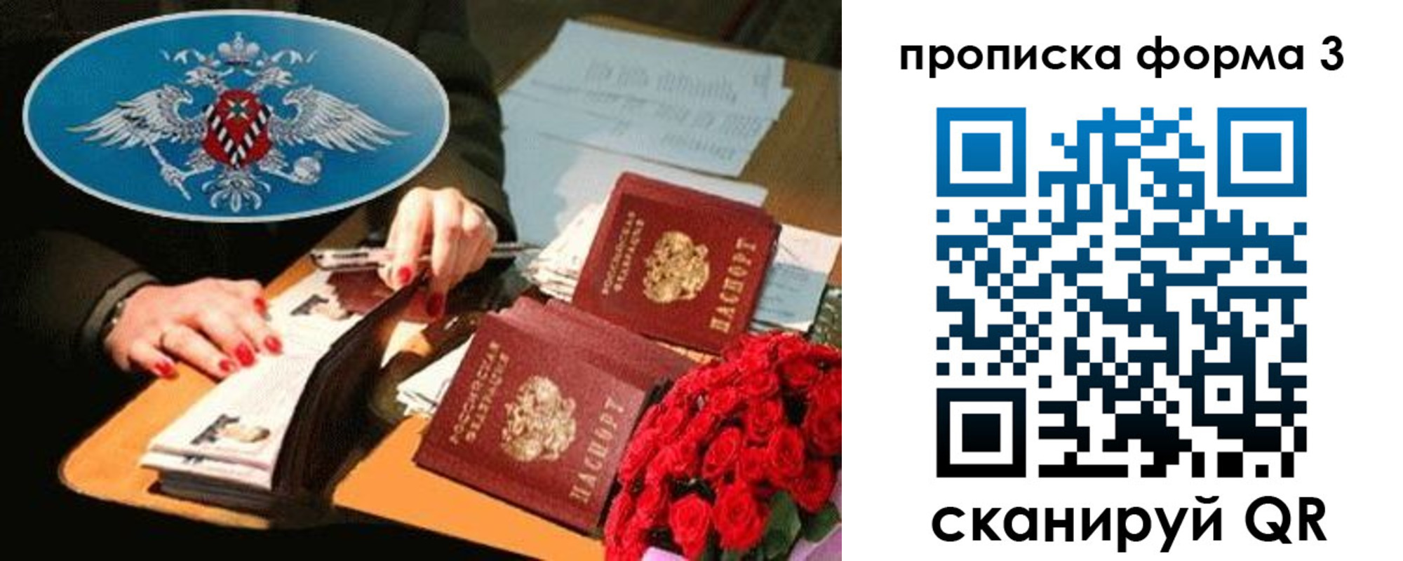 где прописаться в Александрове