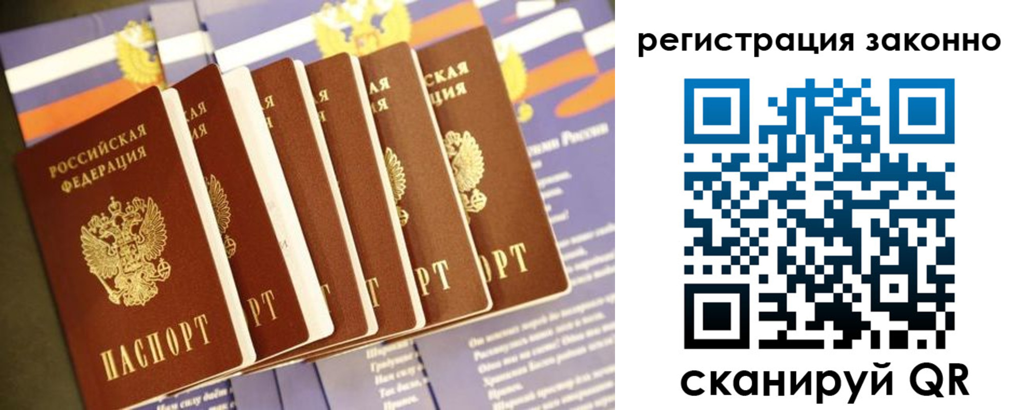 прописка для работы в Александрове